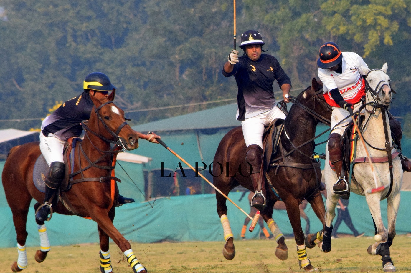 Rajasthan Lights Up With The Sms Gold Vase Tournament Jaipur