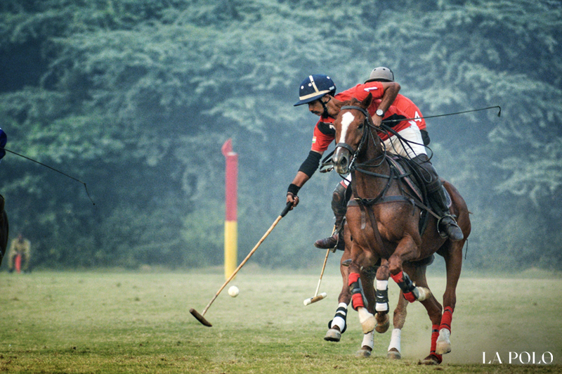 Delhi polo season-2018 , padmanabh Singh