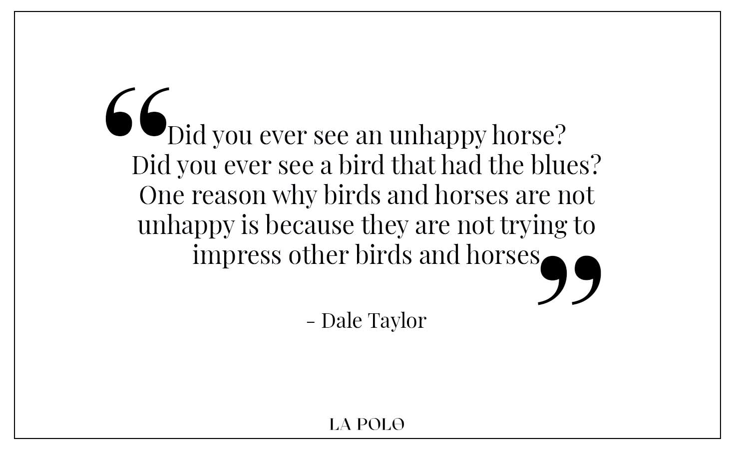 Dale Taylor quotes