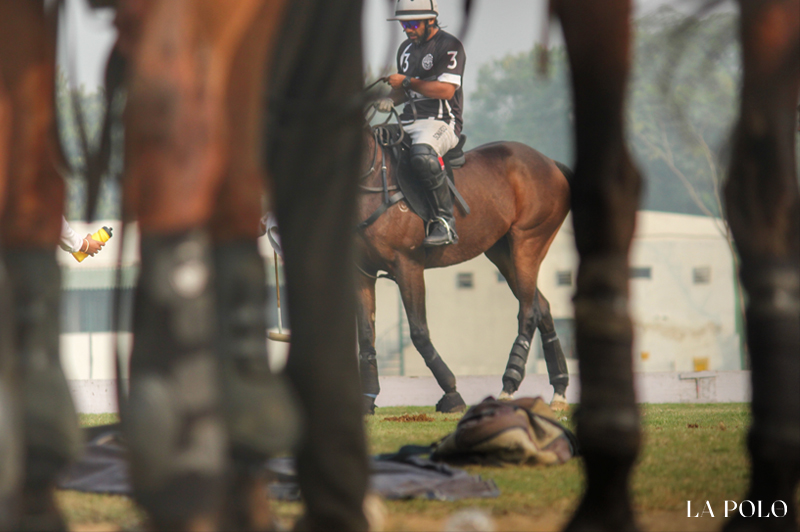 Delhi Polo Season, Sir Pratap Singh Cup, Delhi, Jaipur Polo Ground, Sona Polo, Abhimanyu Pathak, Pacho, Sawai Padmanabh Singh, Gerardo Mazzini, Sanjay Kapur, Sahara Warriors, Ravi Rathore, Vandit Goolecha, Salim Azmi, Matthew Perry, LA Pegasus Polo, Samir Suhag, Dhruvpal Godara, Hyderabad Choughan, Basheer Ali, Angad Kalaan