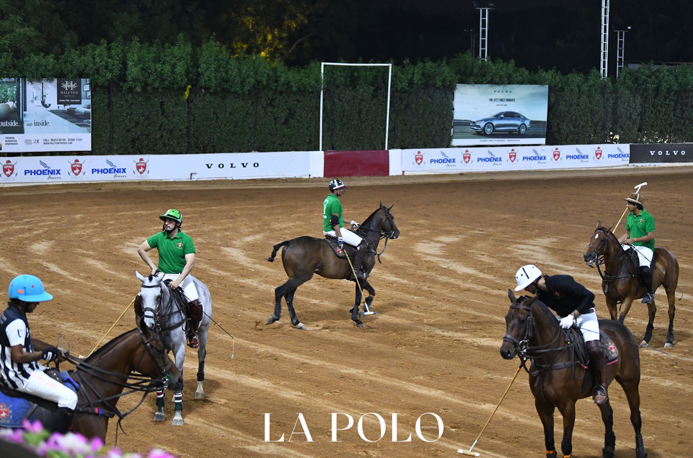 arena polo