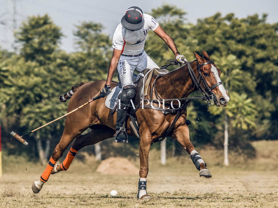 playing-shot-polopolo-match-polo-mallet