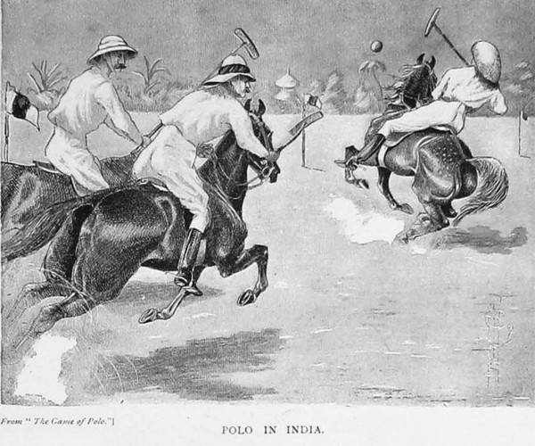 polo sport wiki