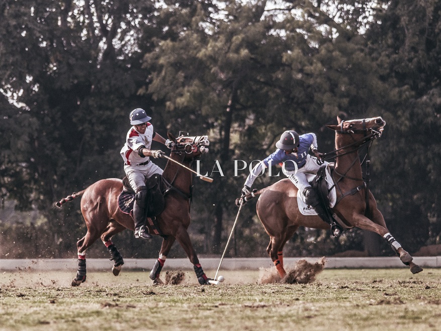 M1polo-horseplaying-polo-shorts_polo-match