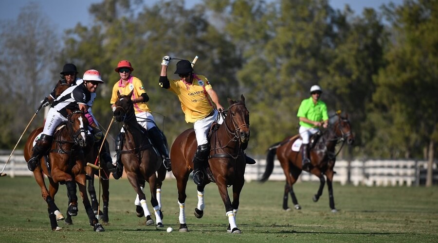 HH President of UAE Polo Cup