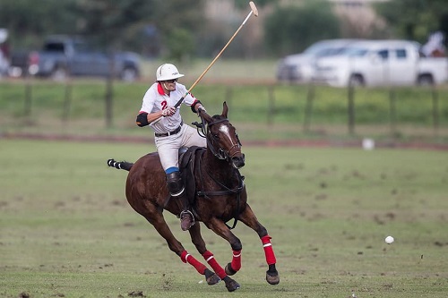 The Polo Week: A new platform for Amateurs