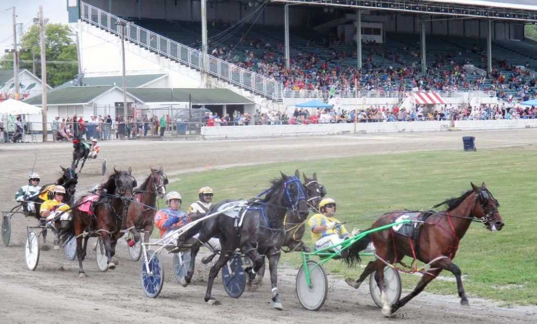 The harness races 2019 Canfield Fair