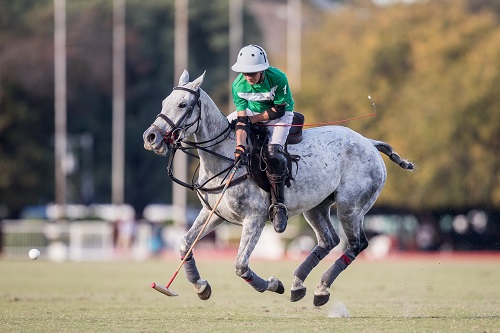 The Polo Week: A new platform for Amateurs