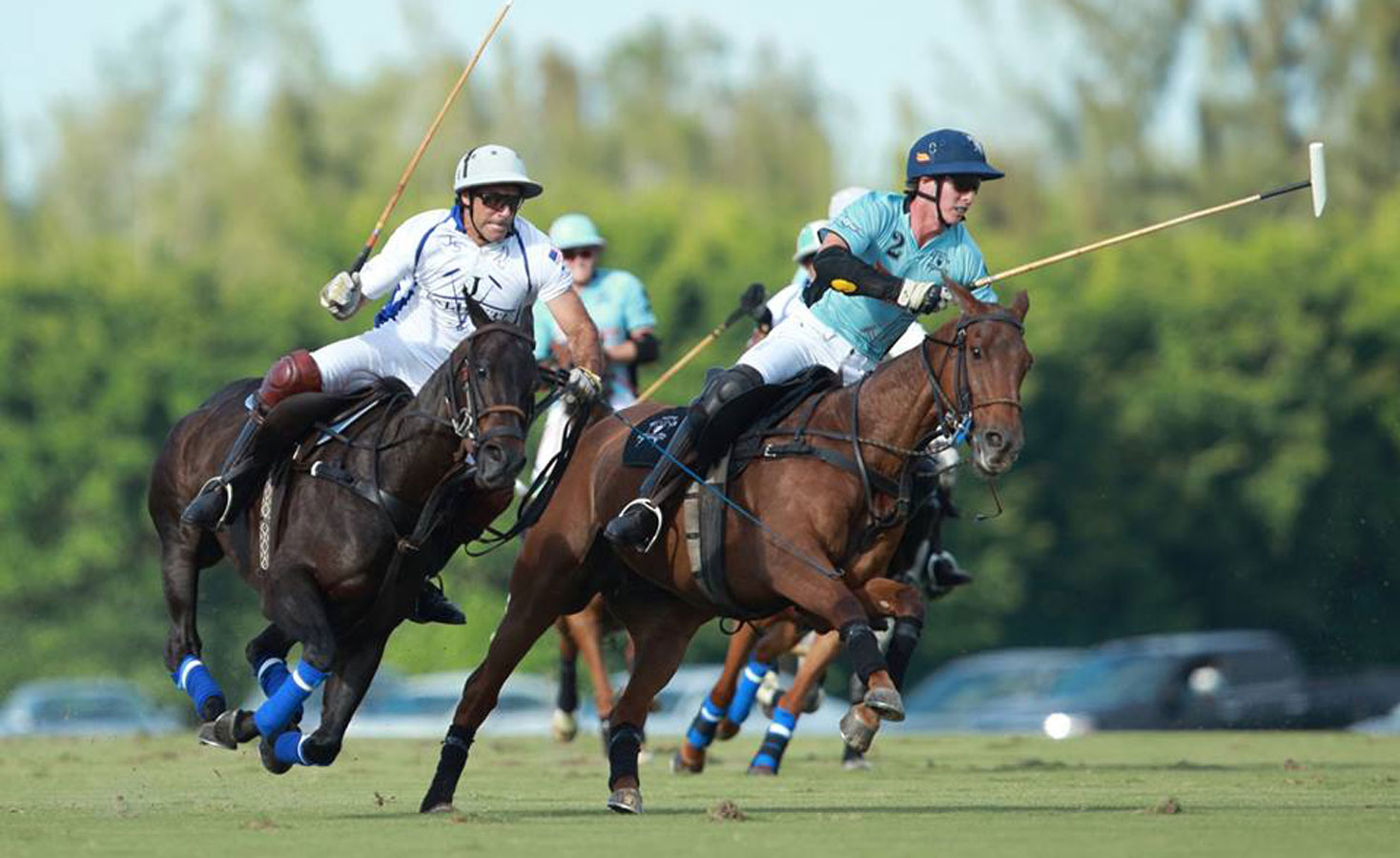 world polo league founders cup