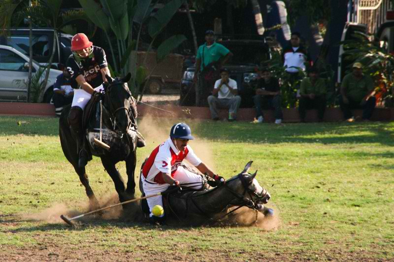 polo sport  polo accidents  all about polo  polo sport game  horse polo injuries  polo crashes  polo rules  polo falls
