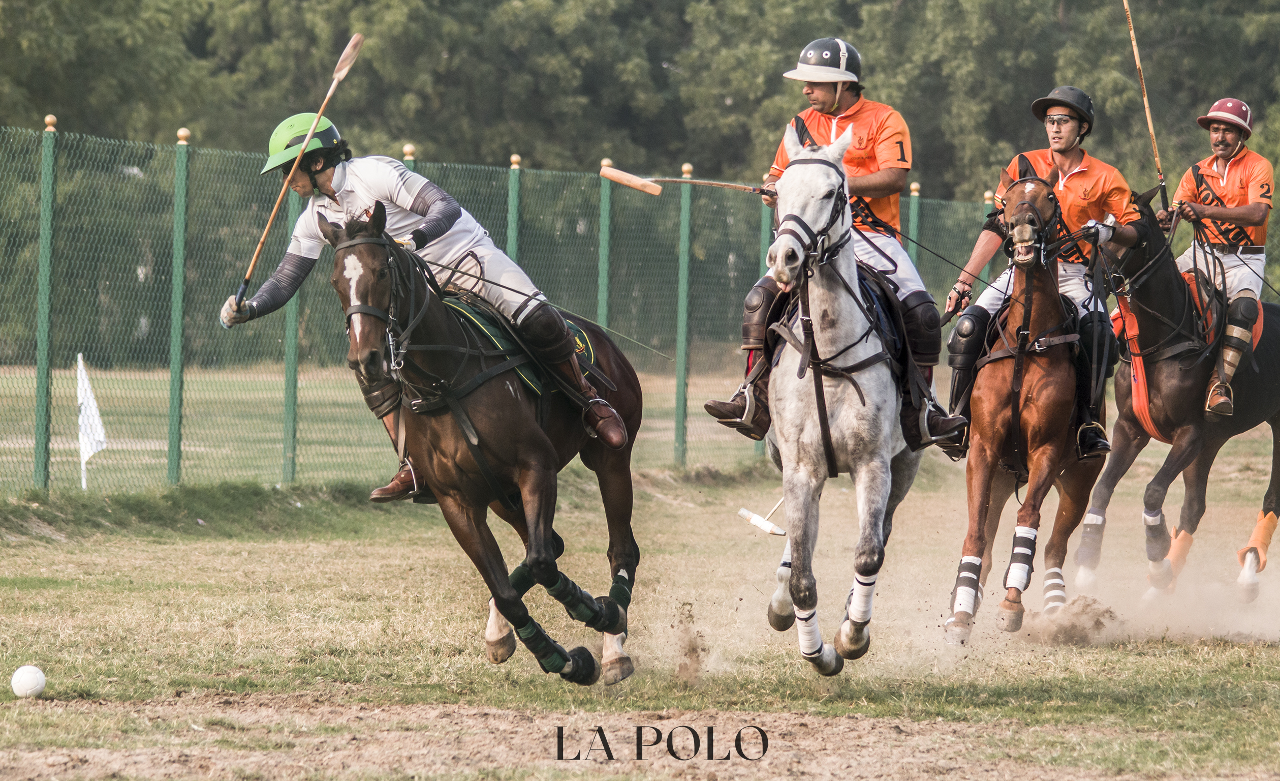 jodhpur-polo-season-lapolo