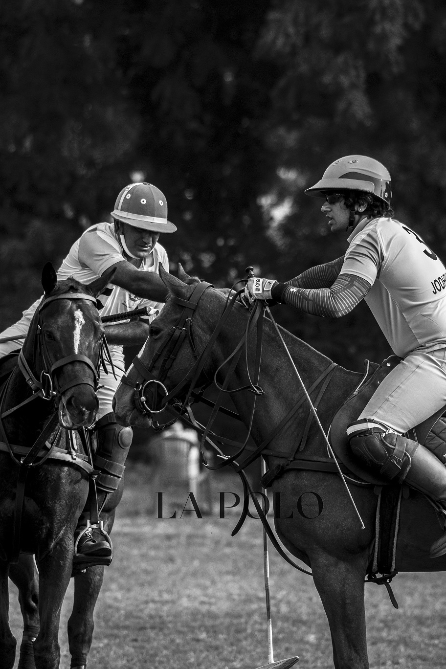 jodhpur-polo-season-lapolo