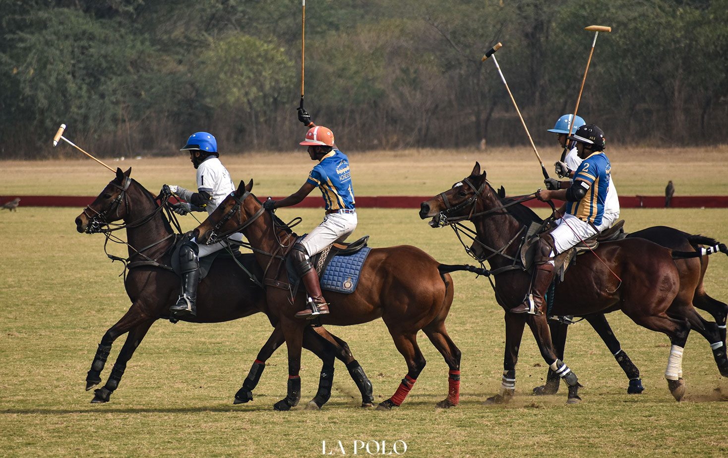 types-of-polo-that-can-be_-played
