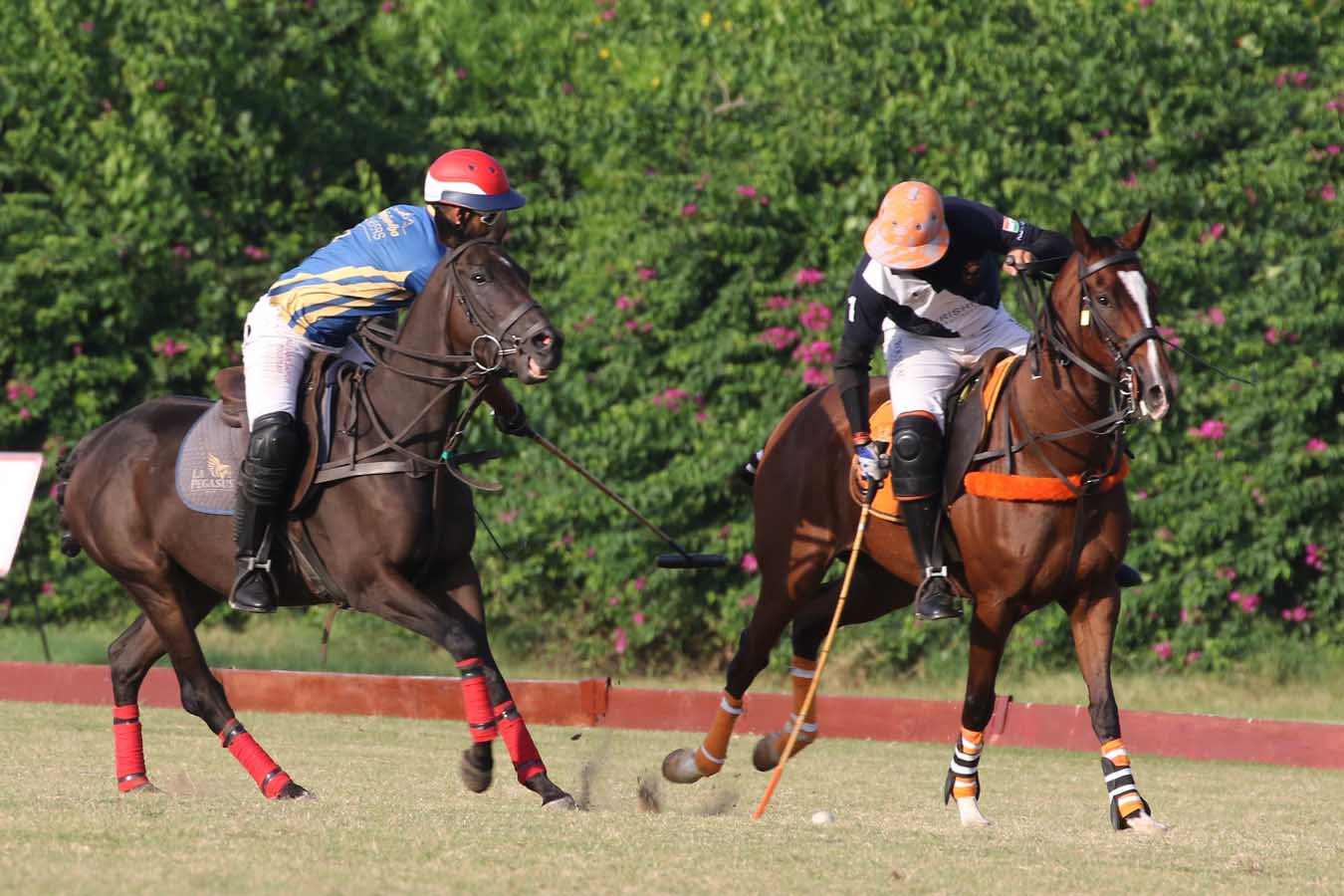 Jaipur polo season 2019