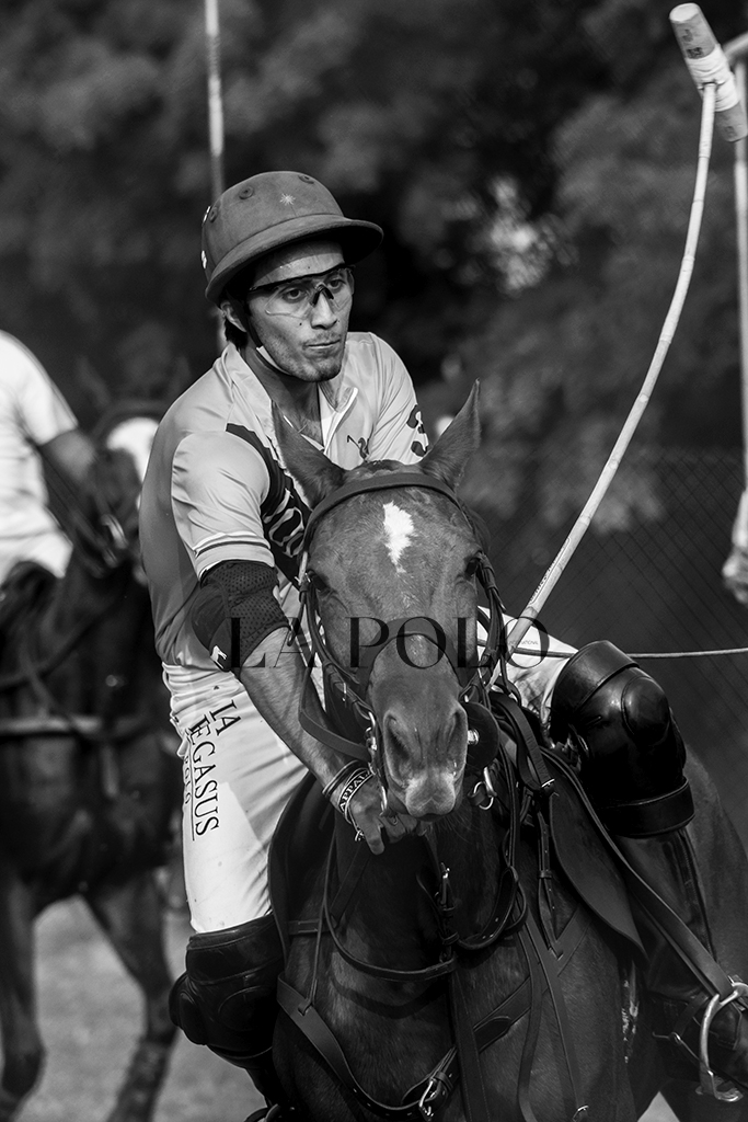 jodhpur-polo-season-lapolo