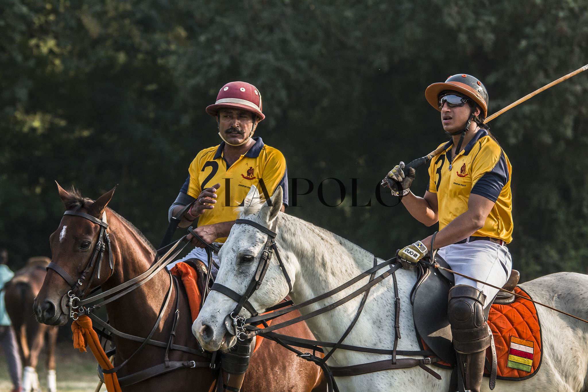 jodhpur-polo-season-lapolo