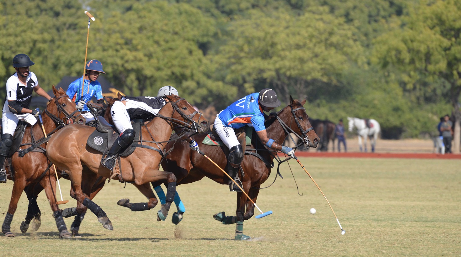 jodhpur polo Season 2018