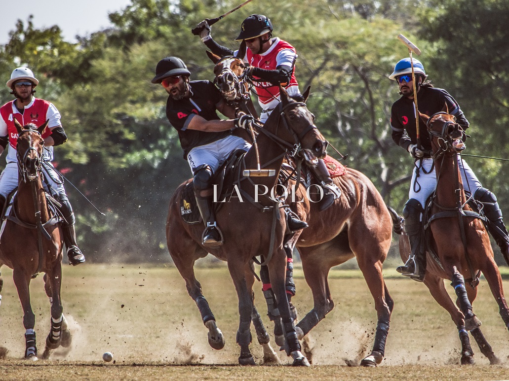 playing-shot-polopolo-match-polo-mallet