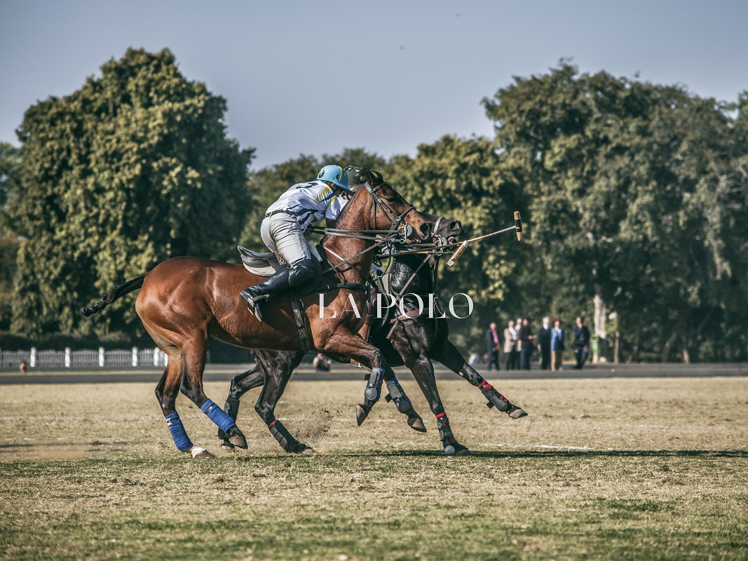 playing-shot-polopolo-match-polo-mallet