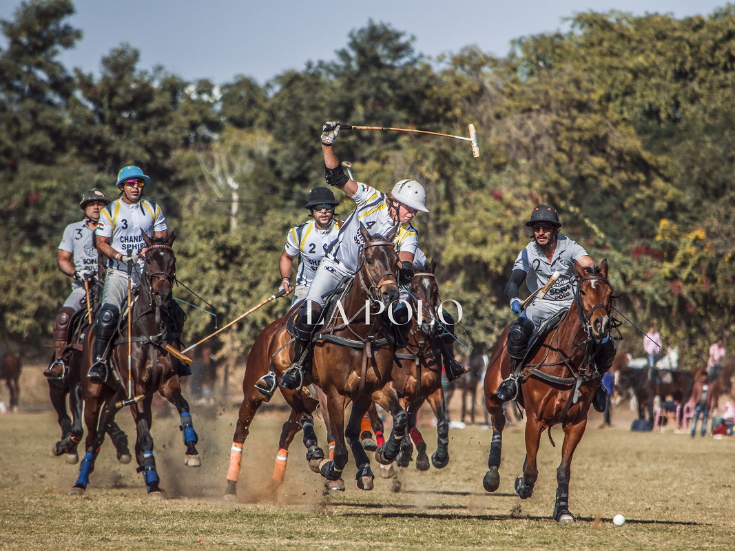 playing-shot-polopolo-match-polo-mallet