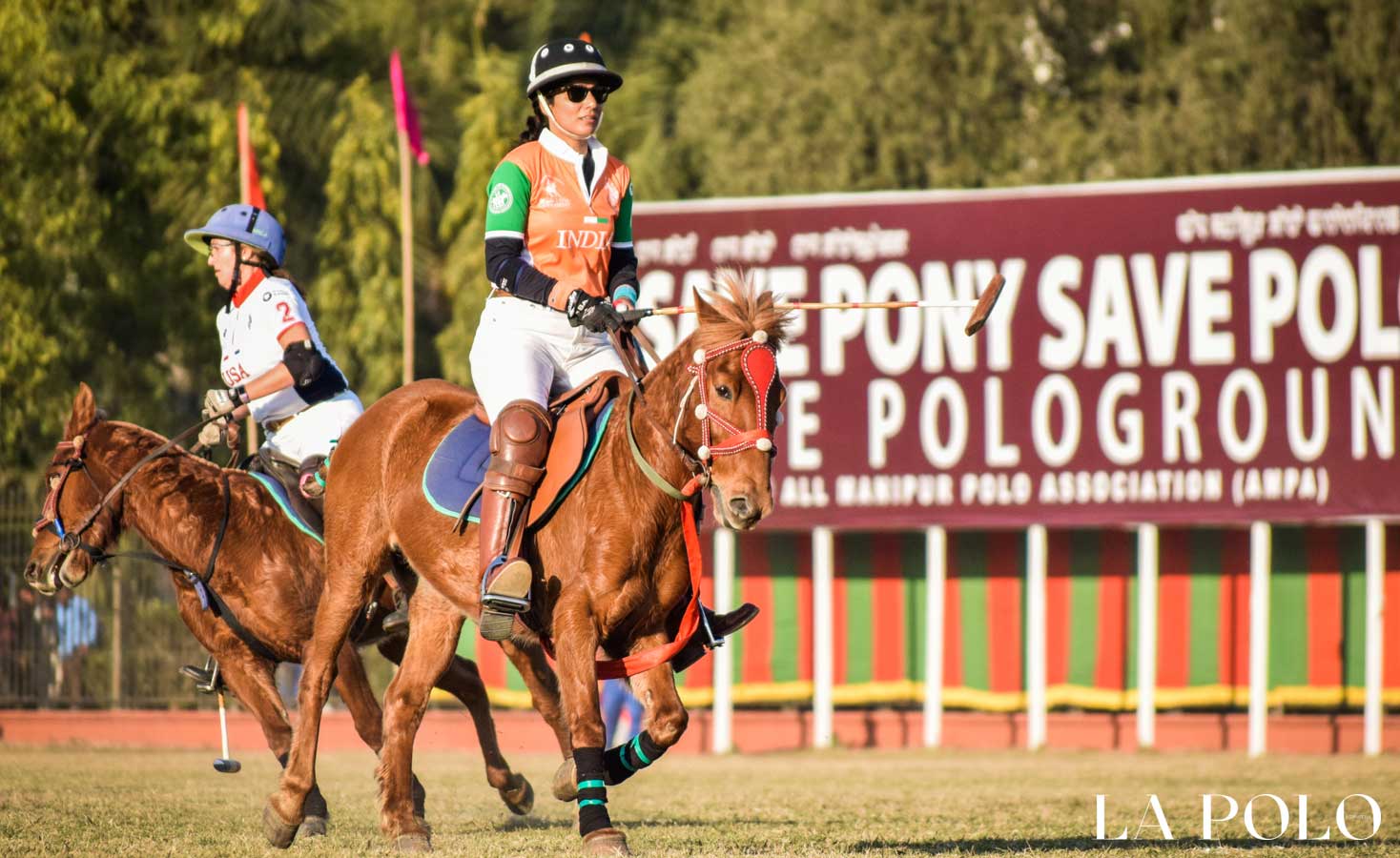 manipur polo  ,polo ponies