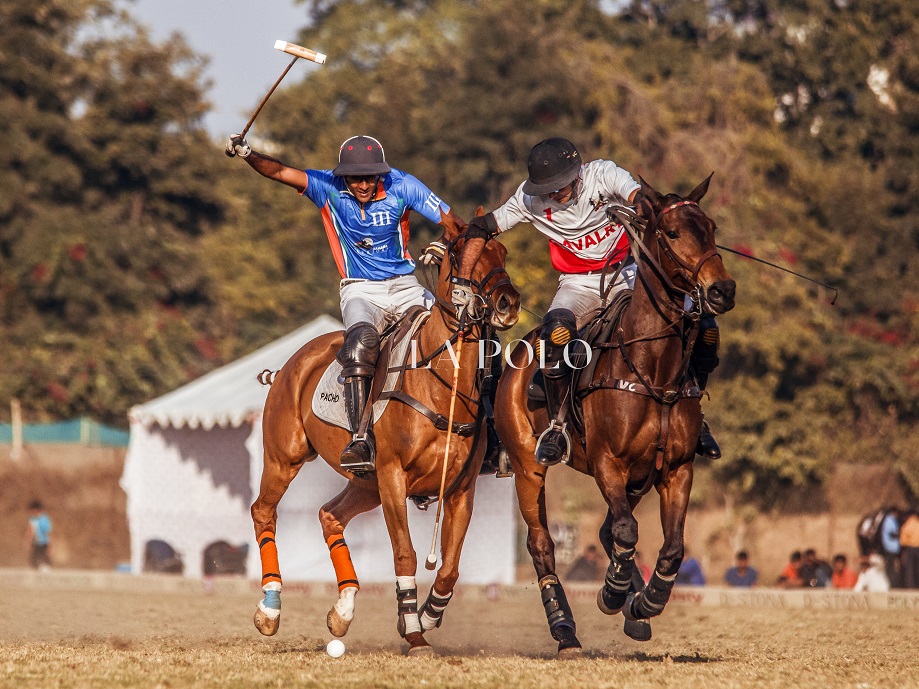 playing-shot-polopolo-match-polo-mallet