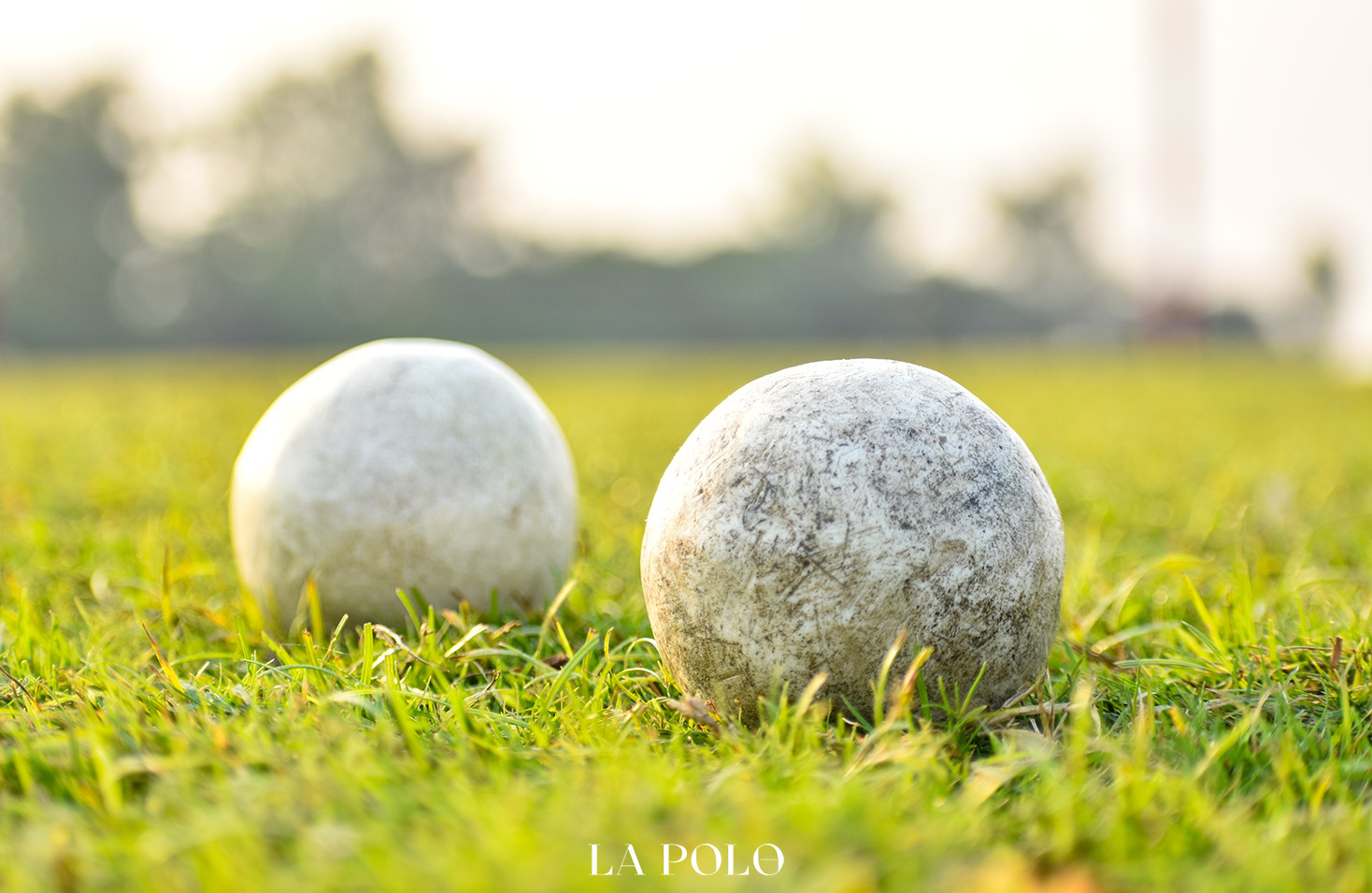 polo-balls-lapolo