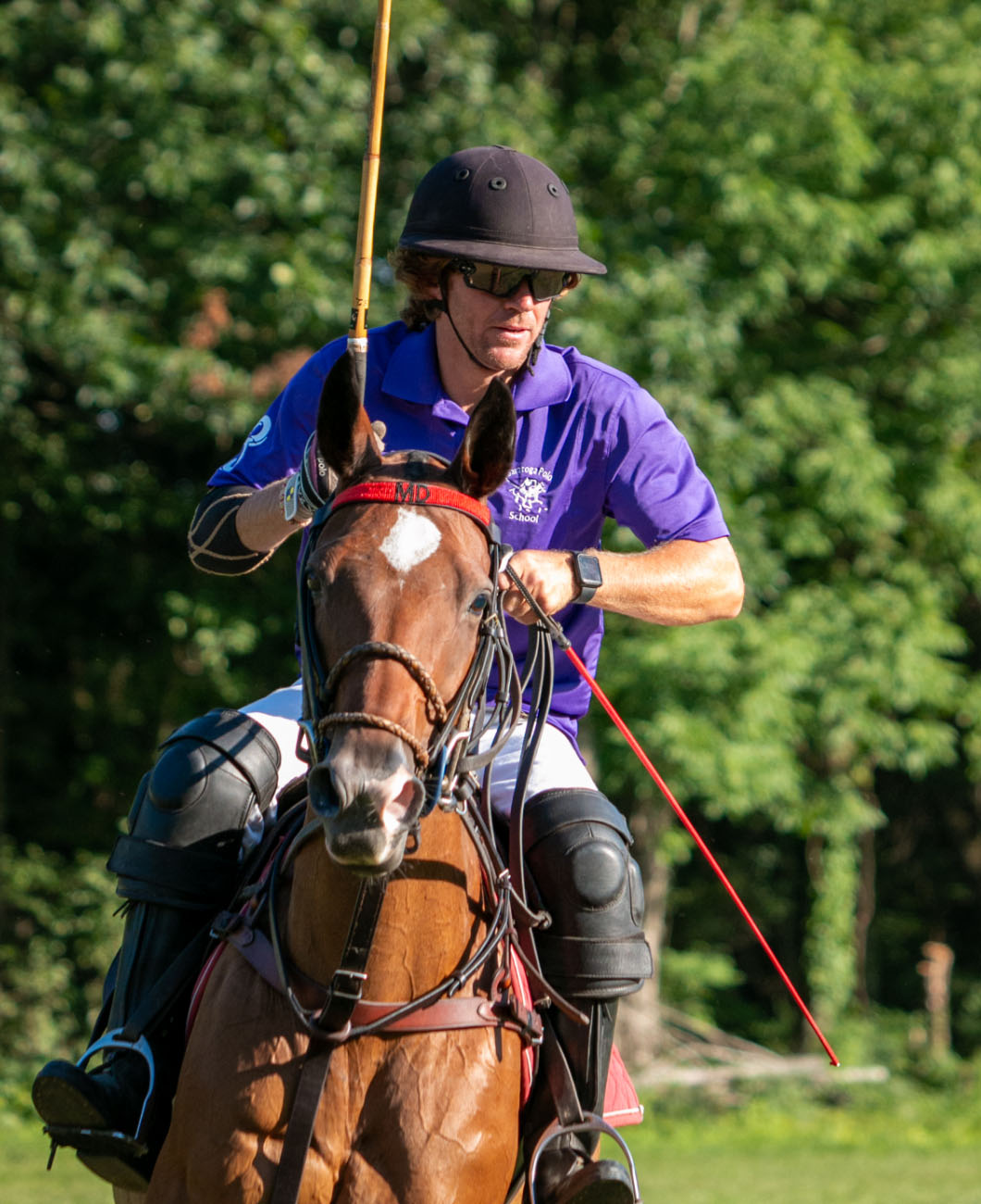 polo player from argentina la polo