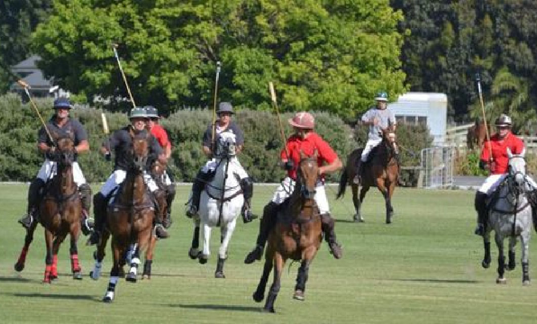 polo-trophies-polo-in-new-zealand-lapolo3