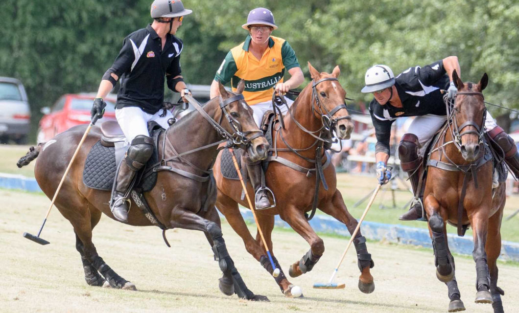 polo-trophies-polo-in-new-zealand-lapolo5