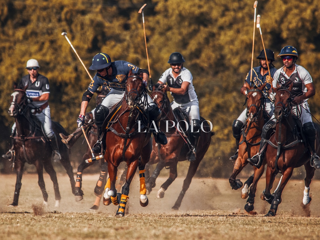 polo_pony_polo_in_india_polo_players