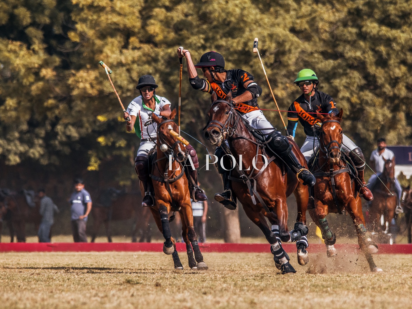 polo_pony_polo_in_india_polo_players