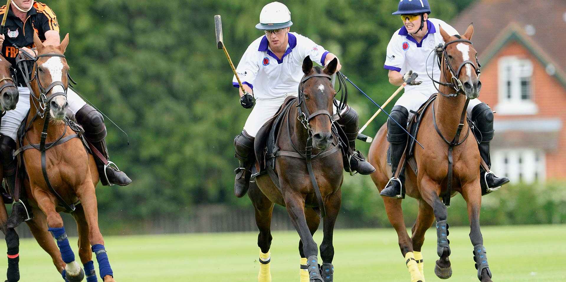 THE HACKETT INTER REGIMENT polo this week lapolo