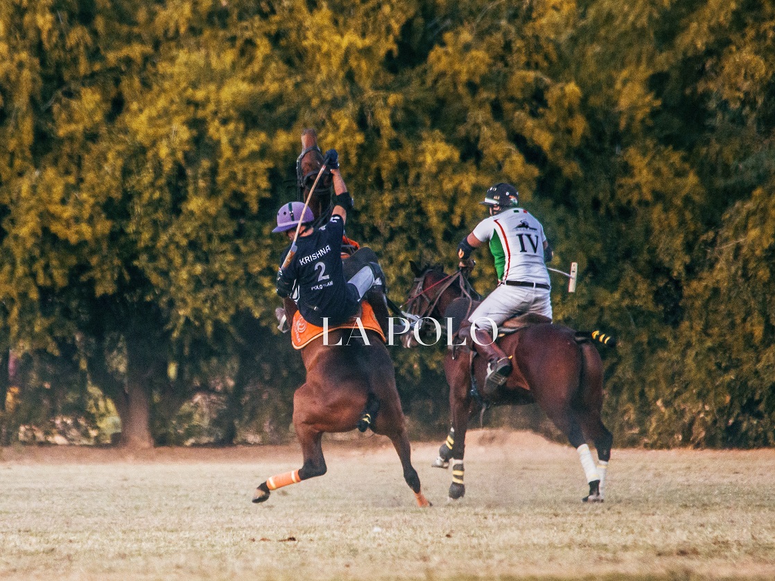 polo_pony_polo_in_india_polo_players