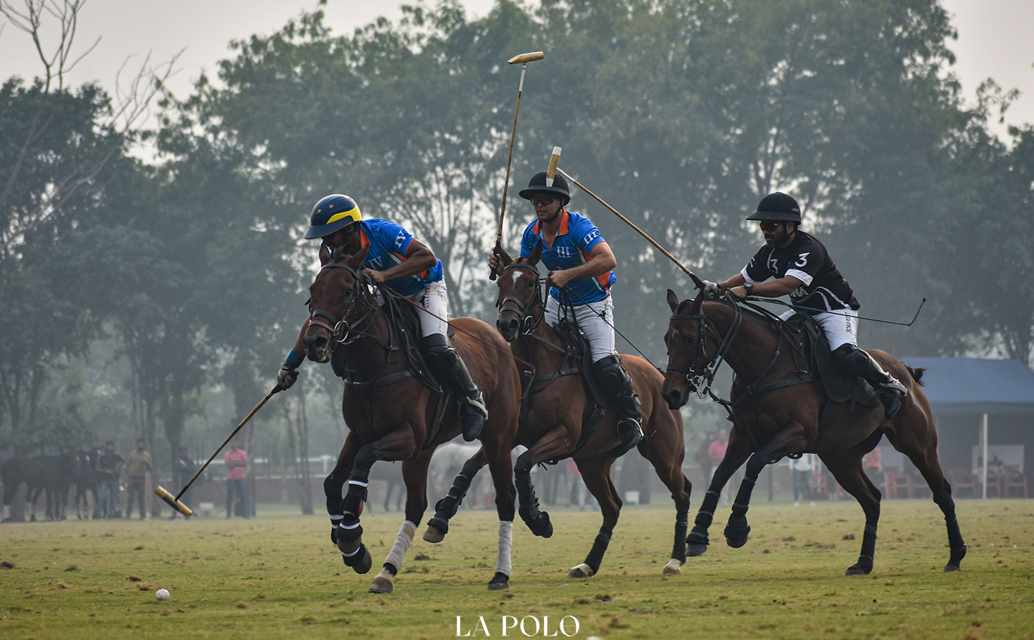 polo-shots-players-on-ground-horses-polo-ponies-delhi-season-lapolo