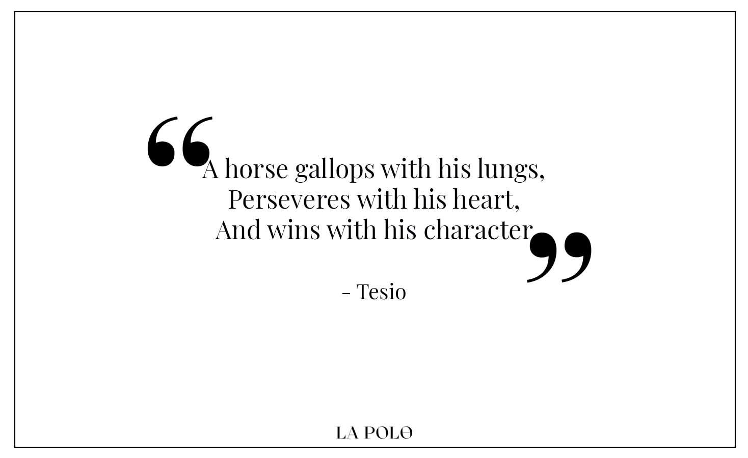 Tesio quotes