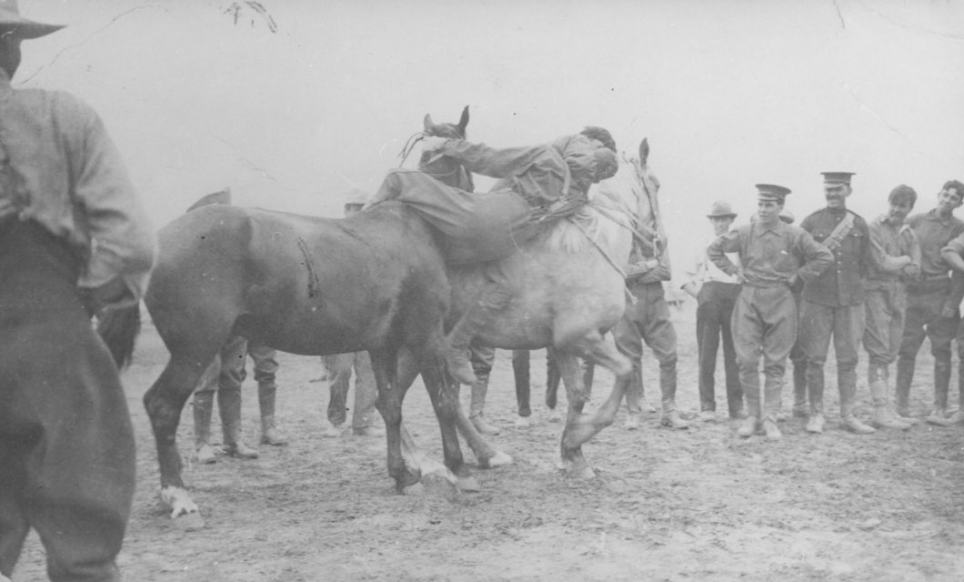 the-horse-festival-la-polo_ETtUFjs