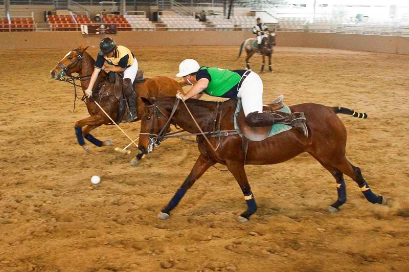 Types of Polo indoor polo